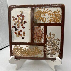 Vintage Lucite  Trivet with Dried Seeds Kitchen Decor Gamut Designs